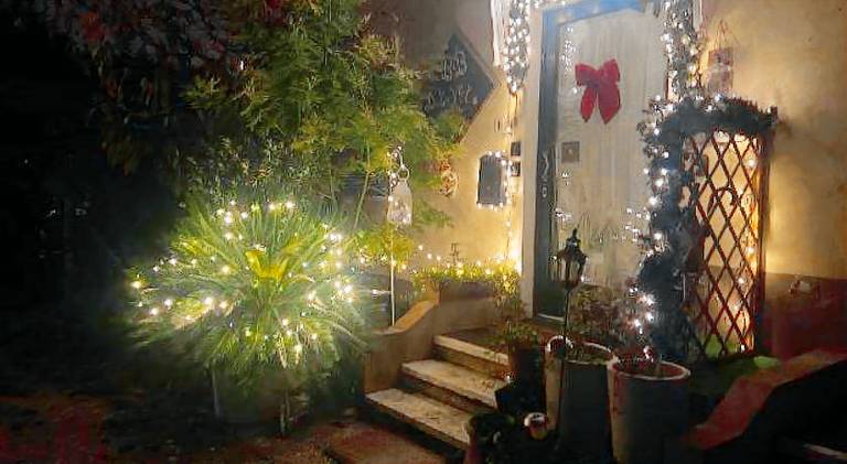 Rental apartment with garden in Valeggio sul Mincio