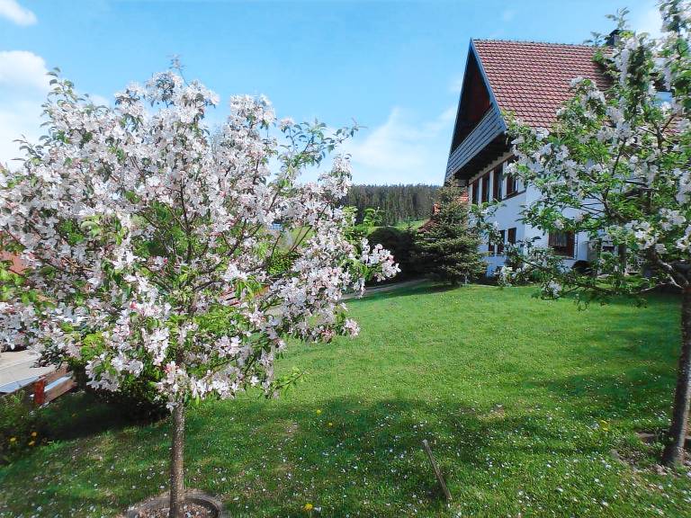 Ferienwohnung in Sankt Märgen für max. 2 Gäste