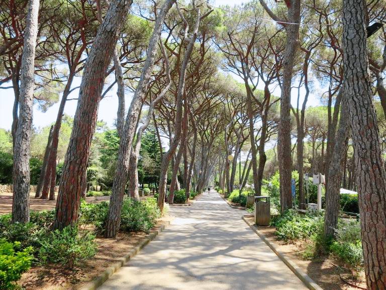 Apartment Castiglioncello