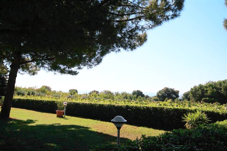 Villa with barbecue — photo 4