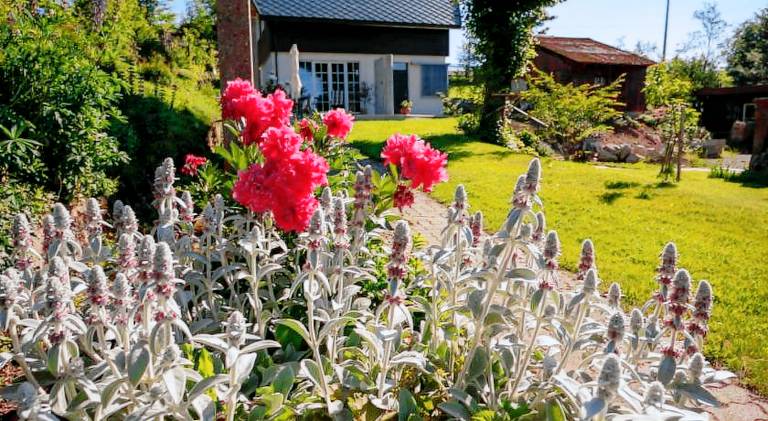 Ferienhaus Schopfheim