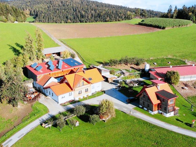 Bauernhof Mönichkirchen
