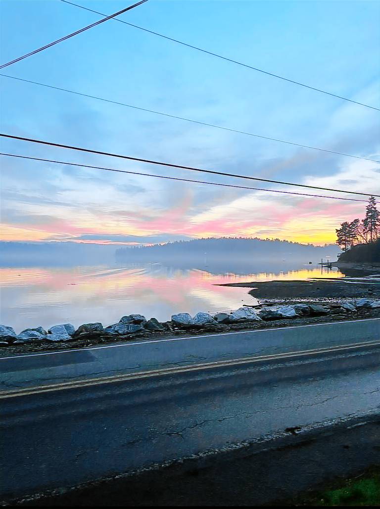 House Vashon