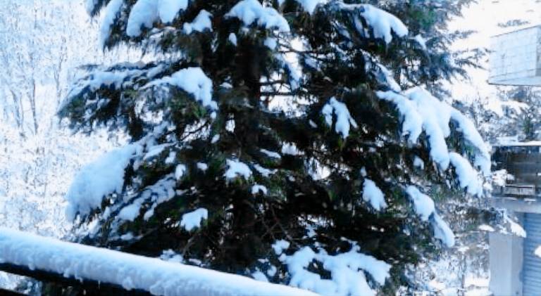 Appartamento vacanza Roccaraso