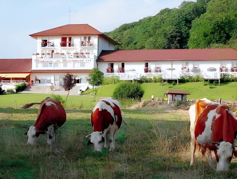 Domaine du Revermont, The Originals Relais in Dole