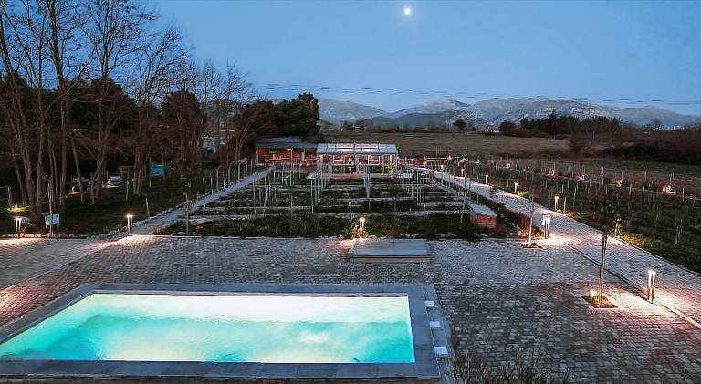 Farm with yard, pool & barbeque — photo 4