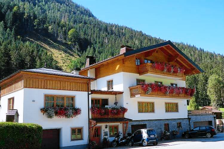 Ferienwohnung Flachauwinkl