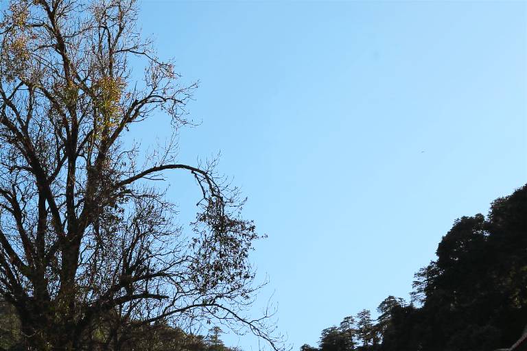 foto4