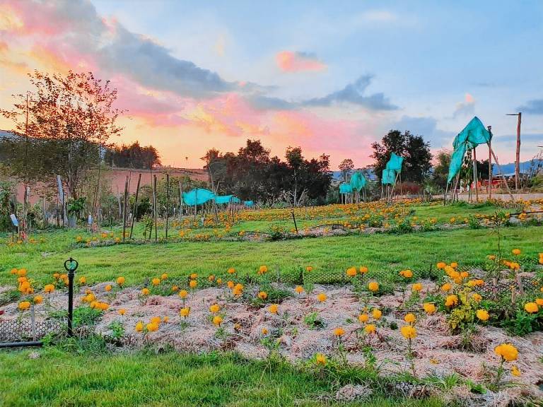 House with yard | Pets allowed — photo 2