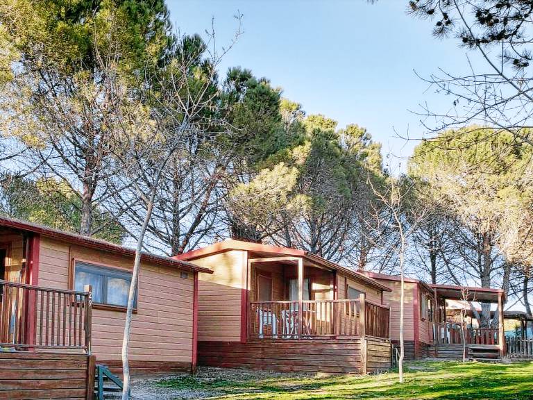 Mobile home with terrace | Pets are welcome — photo 4