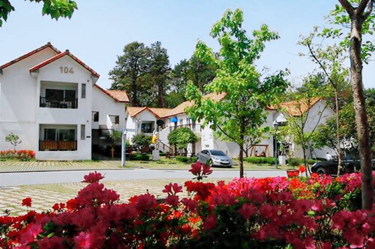 Damyang Meta Pension