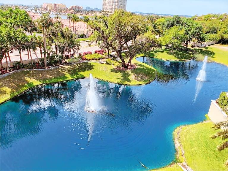 Condo  Palmetto