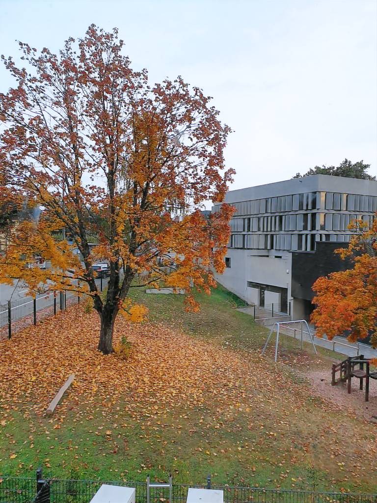 Ferienwohnung Saarlouis