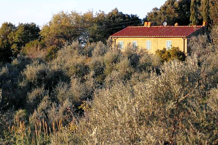 Bauernhof  Castagneto Carducci