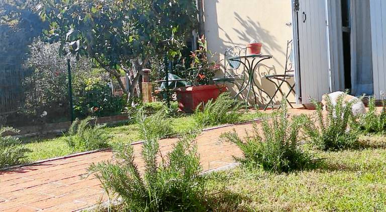 Vacation home with 2 rooms for 6 persons — photo 5