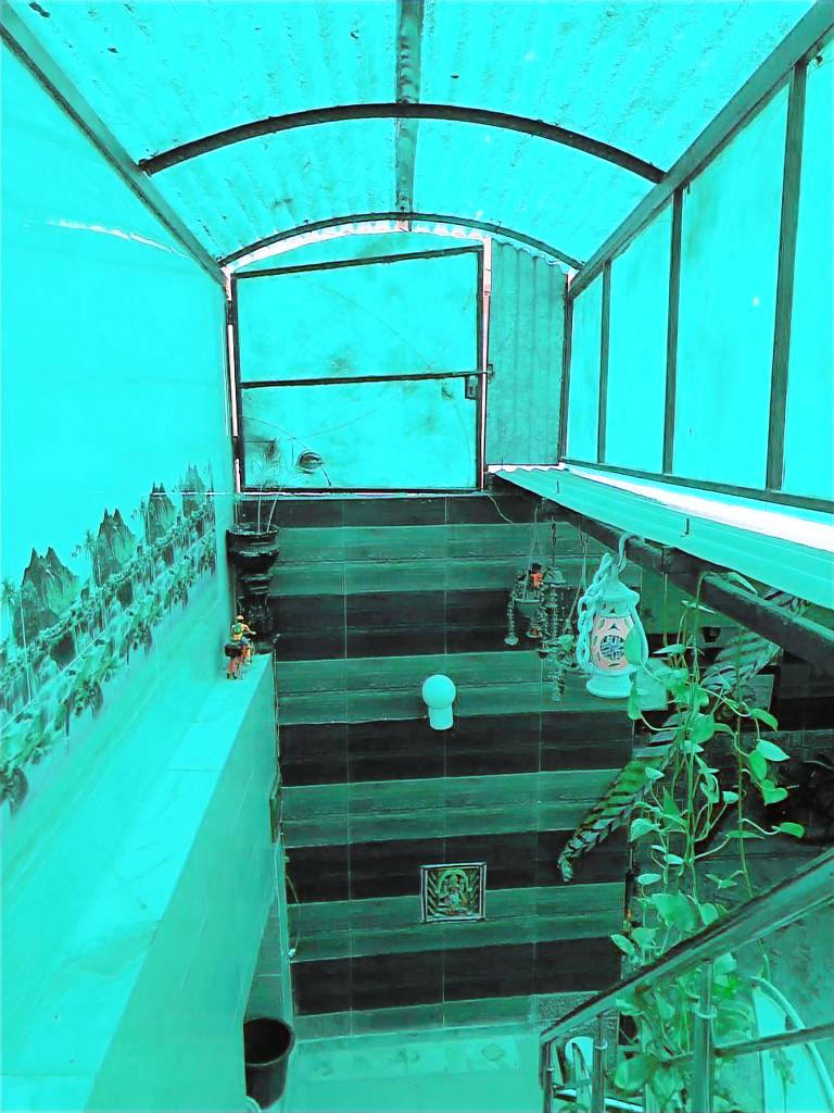 foto2