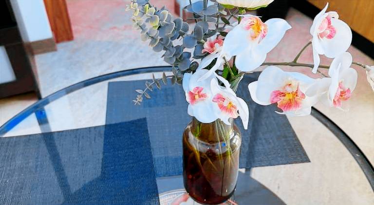 Apartment | Pets are welcome — photo 4