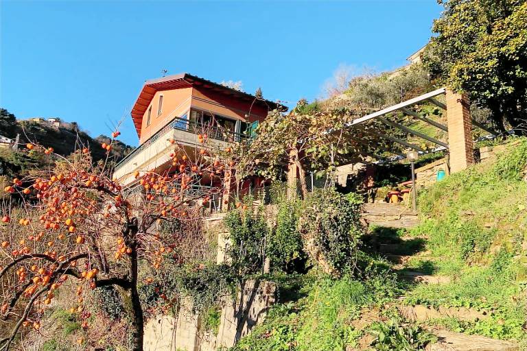 3 Bedrooms, detached villa with swimming pool in the hills of Montignoso. Peaceful and quiet. — photo 3