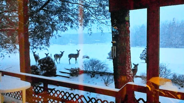 House Lake Wallenpaupack