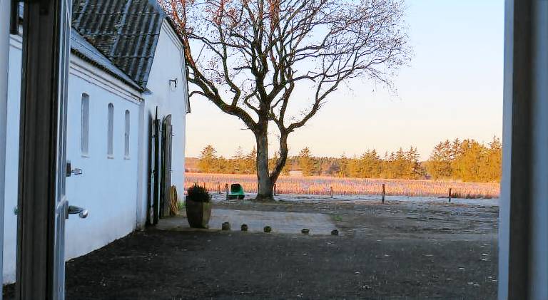Bøgelund Sleep-in — photo 4