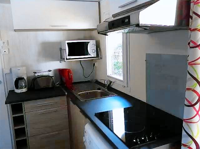 Mobile home with barbecue — photo 5