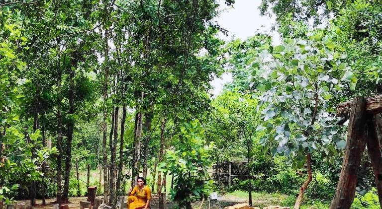 Surwahi Social Ecoestate Kanha — photo 4