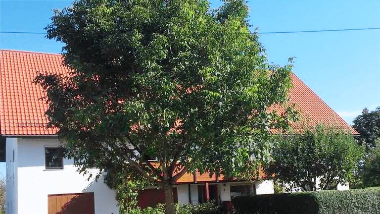100 m² Ferienwohnung