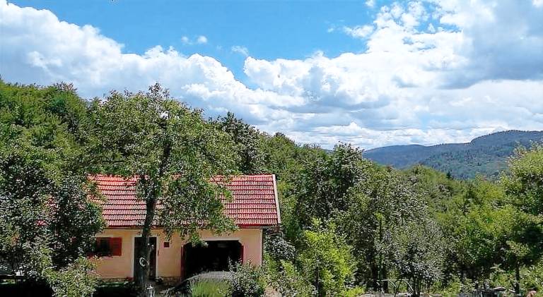Apartma Skrad