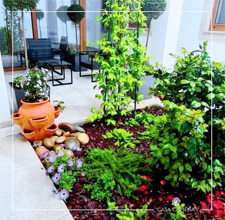 Appartement Viana do Castelo
