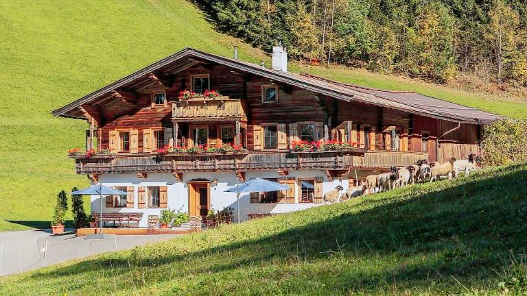 Ferienwohnung  Scheffau am Wilden Kaiser