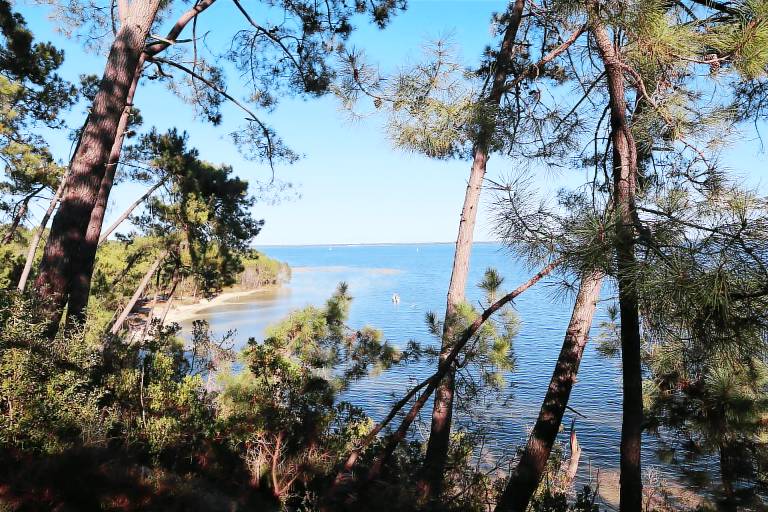 Appartement en copropriété Maubuisson