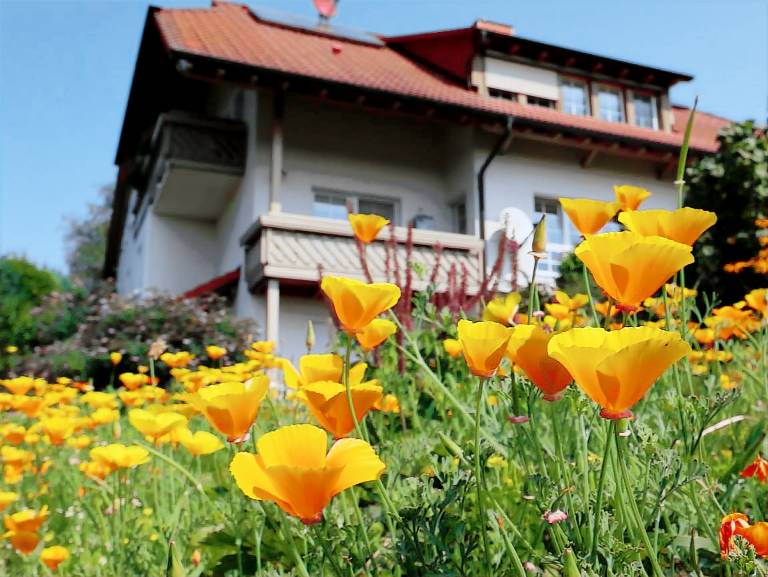 Ferienwohnung in Rickenbach f&uuml;r max. 4 Personen