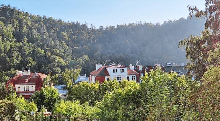 Holiday apartment | Pets are welcome in Karlovy Vary