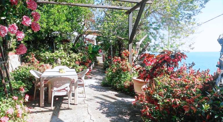 House with garden, grill & terrace — photo 3