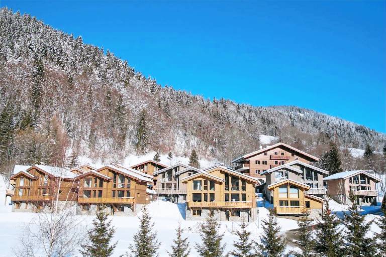 Chalet Praz-sur-Arly