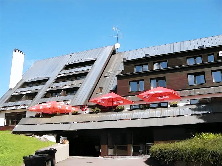 Wellness Hotel Sedy Vlk in Harrachov