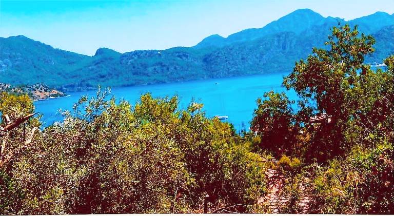 Rental apartment with private pool, garden & BBQ | Pets are welcome in Mugla