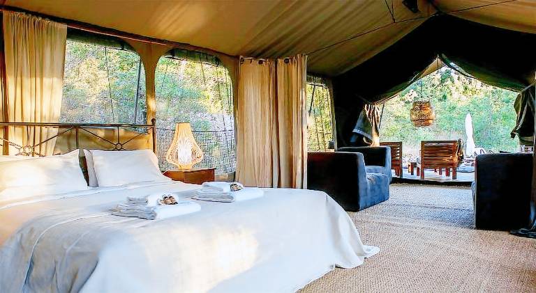 Tent with patio, pool & yard | Pets are welcome — photo 2