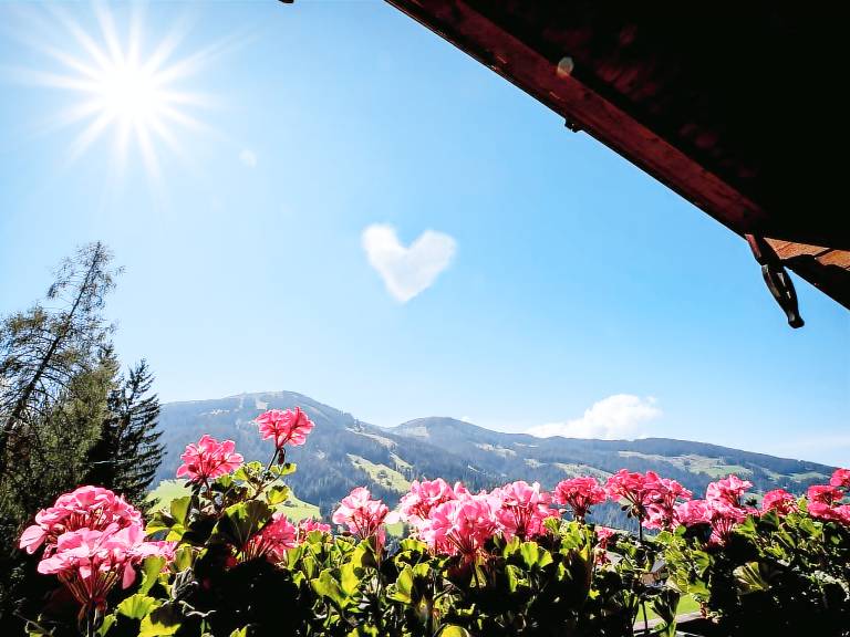 Dom Alpbach
