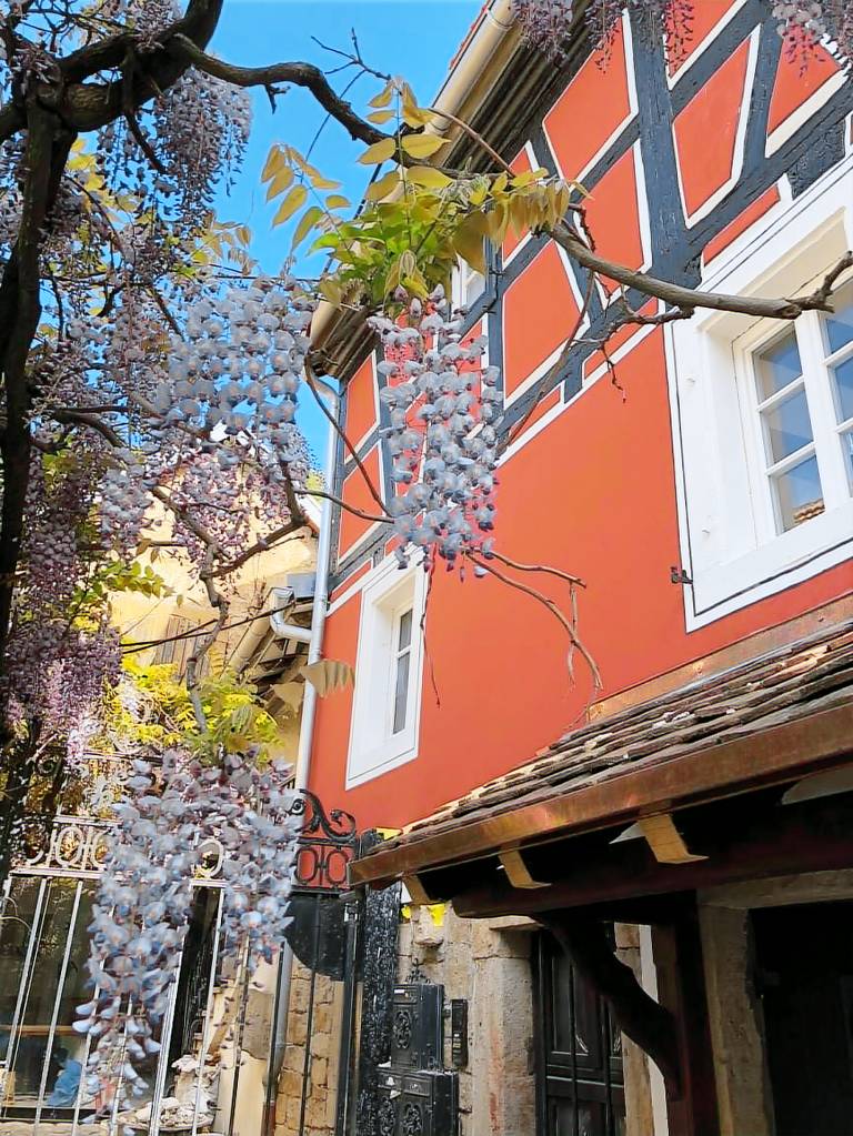 Ferienwohnung Neustadt an der Weinstraße