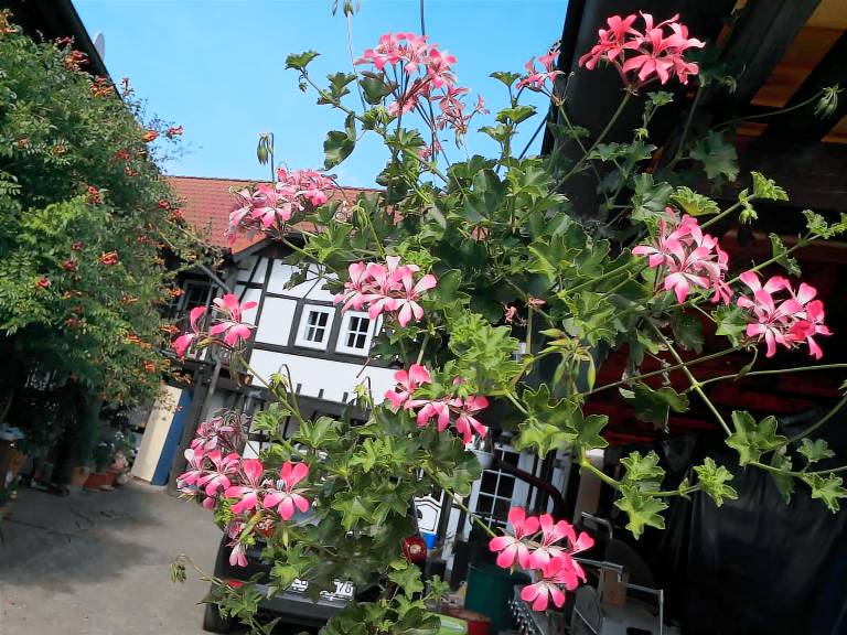 foto1