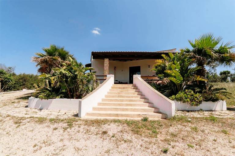 House with garden — photo 4