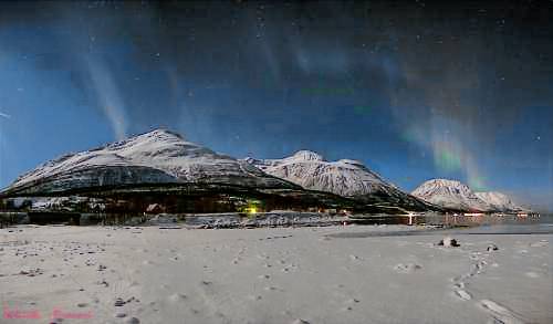 Apartment  Sjursnes