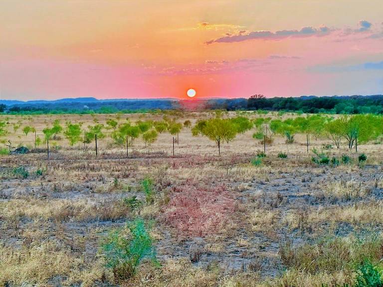 Mobilheim Fredericksburg