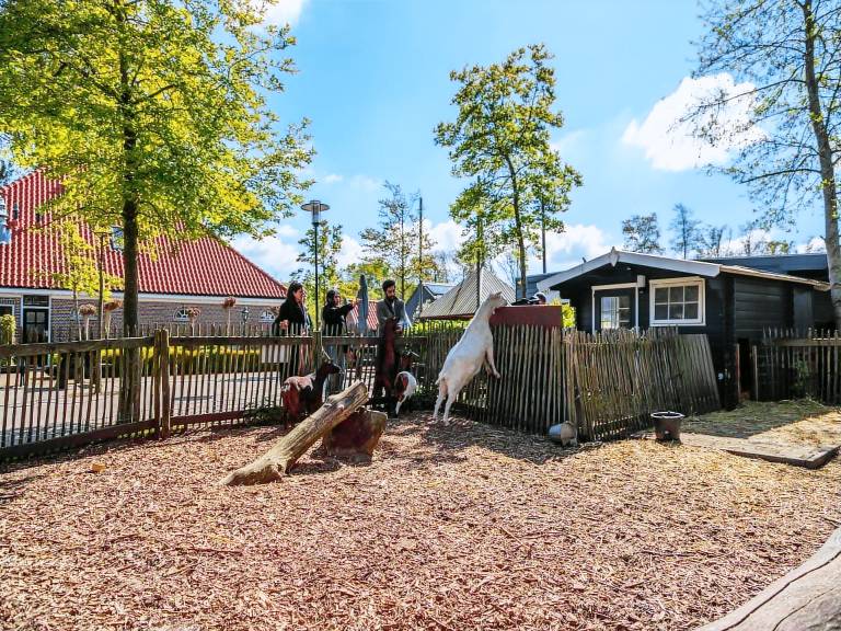 Huis  Spaarnwoude