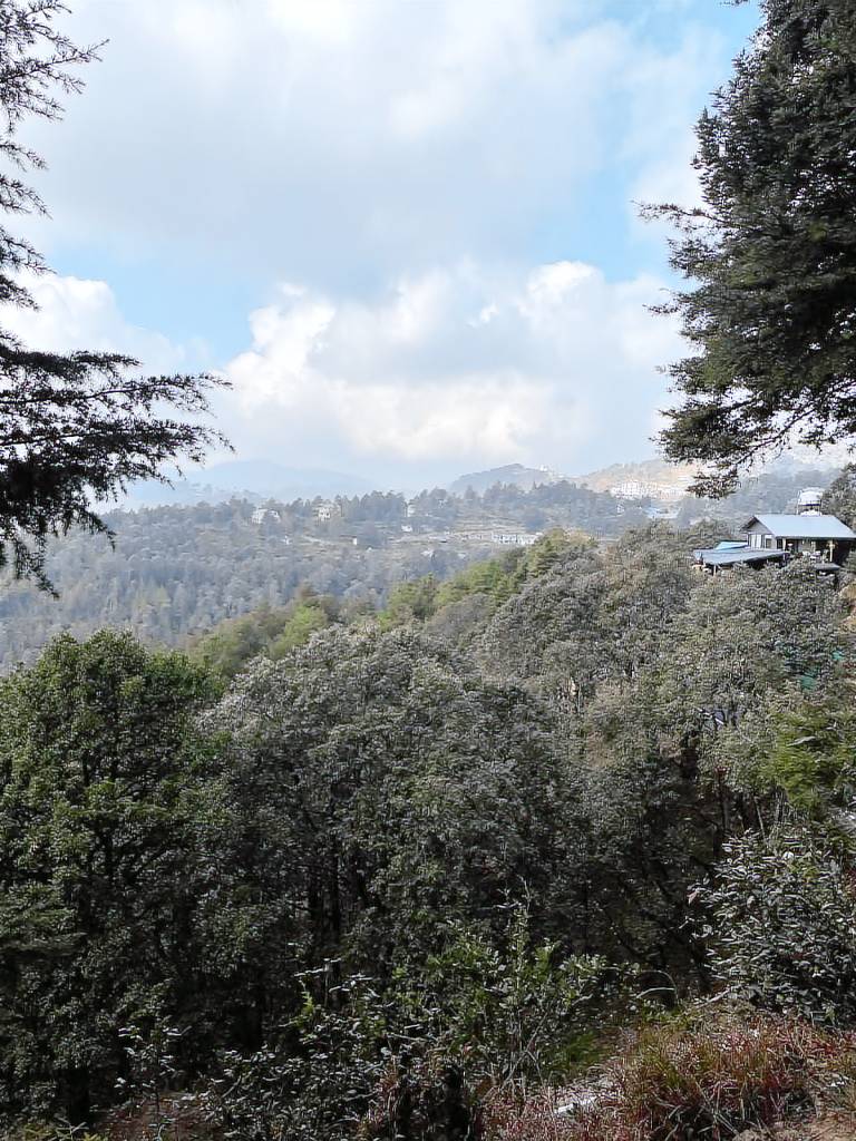 foto5