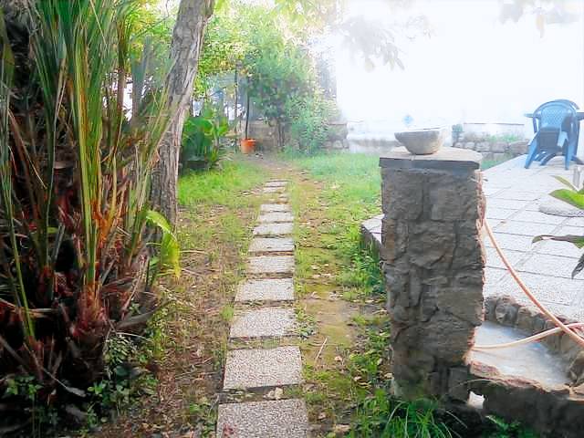 Villa with yard | Garden view — photo 2