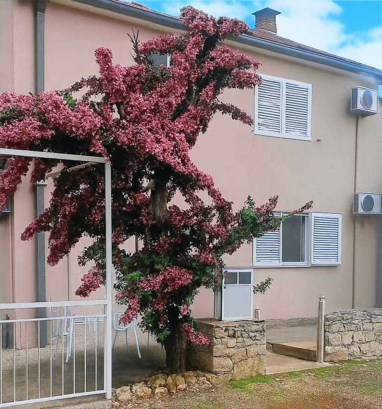 Ferienhaus in Mirca, Donji Humac für max. 8 Personen Ferienhaus in Mirca, Donji Humac für max. 8 Personen