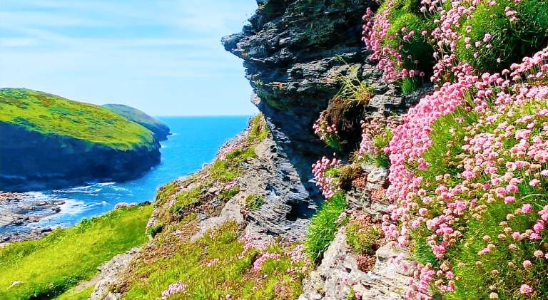 Big vacation home | Pets are welcome in Tintagel