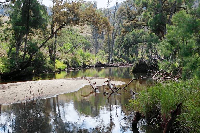 Cabin  Berrima